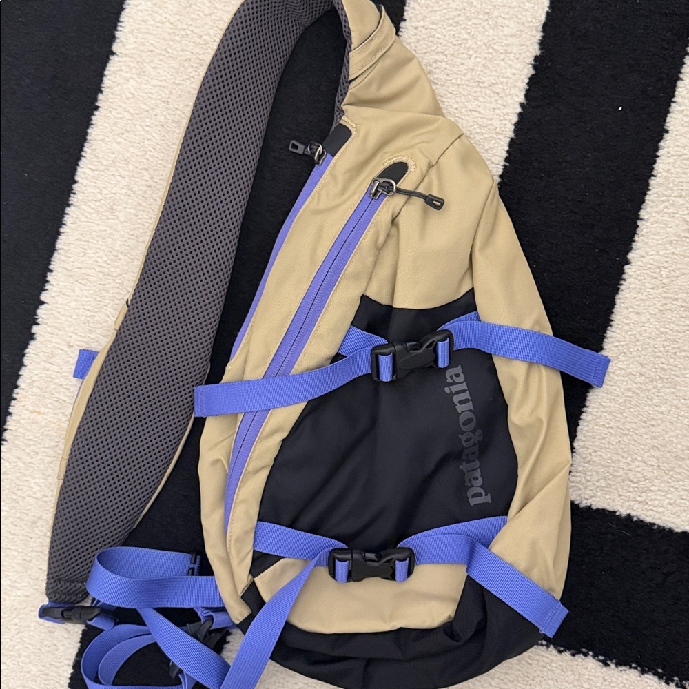 Patagonia Sling Bag